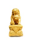 Chinese gold lion isolated on white background