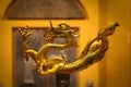 Chinese Golden Dragon in Nelson Atkins Museum