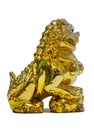 Chinese Golden Lion