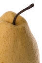 Chinese gong pear