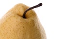 Chinese gong pear