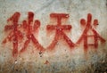 Chinese graffiti Royalty Free Stock Photo