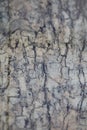Chinese granite table abstract close up abstract background high quality big size print