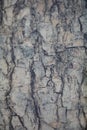 Chinese granite table abstract close up abstract background high quality big size print