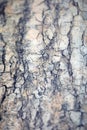 Chinese granite table abstract close up abstract background high quality big size print