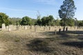 Chinese Graves in Beechworth Cemetery, Victoria, Australia