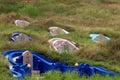 Chinese graveyard Royalty Free Stock Photo