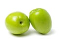 Chinese green jujube Royalty Free Stock Photo