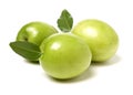 Chinese green jujube. Clear, agricuture. Royalty Free Stock Photo