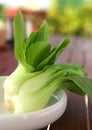 Chinese green vegetable '' bok choi '' Royalty Free Stock Photo