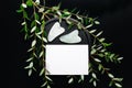 Gua sha stones on a plate with eucalyptus branches over black. Top view Royalty Free Stock Photo