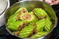 Chinese Guangxi traditional dish, bitter gourd stuffed with meat close-up Royalty Free Stock Photo