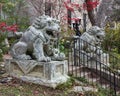 Chinese guardian Lions at the entrance to Dragon Park in the Oak Lawn neighborhood in Dallas, Texas.