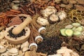 Chinese Herbal Alternative Medicine Collection Royalty Free Stock Photo