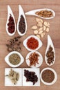 Chinese Herbal Medicine Royalty Free Stock Photo