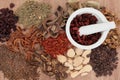 Chinese Herbal Medicine Royalty Free Stock Photo