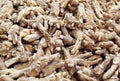 Chinese Herbal medicine - American Ginseng roots Royalty Free Stock Photo