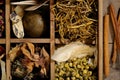 Chinese herbal medicine Royalty Free Stock Photo