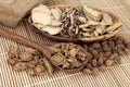 Traditional Chinese Medicine