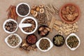 Chinese Herbal Meidicne