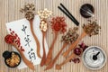 Chinese Herbs and Acupuncture Therapy Royalty Free Stock Photo