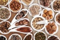 Chinese Herbs Royalty Free Stock Photo