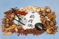 Traditional Chinese Herbal Therapy for Good Health Royalty Free Stock Photo