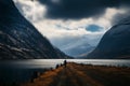 Chinese highland homeward journey Livestock return to their mountain abode