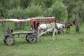 Chinese horse carriage Royalty Free Stock Photo