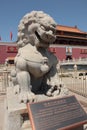 Stone lion outside of Forbidden City in Beijing, China