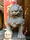 Chinese imperial lion in front of Chinese temple