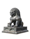 Chinese Imperial Lion Statue