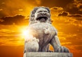 Chinese Imperial Lion Statue Royalty Free Stock Photo