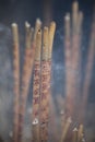 Chinese incense sticks Royalty Free Stock Photo