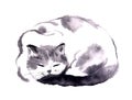 Chinese ink hand painting of cat