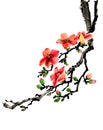 Chinese ink hand painting of kapok tree branch