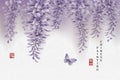 Chinese ink painting art background plant elegant flower Chinese Wisteria and butterfly. Chinese translation : Plant and Blessing