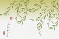 Chinese ink painting art background plant elegant willow. Chinese translation : Plant and Blessing