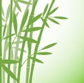 Chinese or japanese bamboo grass oriental wallpaper stock vector Royalty Free Stock Photo