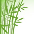 Chinese or japanese bamboo grass oriental wallpaper stock vector Royalty Free Stock Photo