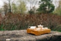 Chinese or japanese white tea set for tea ceremony in green garden. Royalty Free Stock Photo