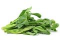 Chinese Kai Lan vegetables Royalty Free Stock Photo