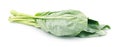 Chinese kale, chinese broccoli isolated on white background Royalty Free Stock Photo