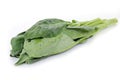 Chinese Kale or Chinese Broccoli vegetable isolated on white background Royalty Free Stock Photo