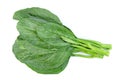 Chinese kale isolated on white background ,Green leaves of collards pattern