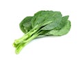 Chinese kale isolated on white background ,Green leaves of collards pattern Royalty Free Stock Photo