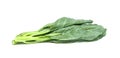 Chinese kale isolated on white background ,Green leaves of collards pattern Royalty Free Stock Photo