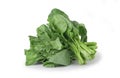 Chinese kale isolated on white background ,Green leaves of collards pattern Royalty Free Stock Photo