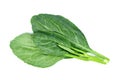 Chinese kale isolated on white background ,Green leaves of collards pattern Royalty Free Stock Photo