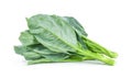 Chinese kale vegetable isolated on white background Royalty Free Stock Photo